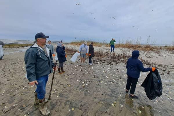 Group of volunteers collecting trash on a muddy shoreline with shells and birds overhead on an overcast day.