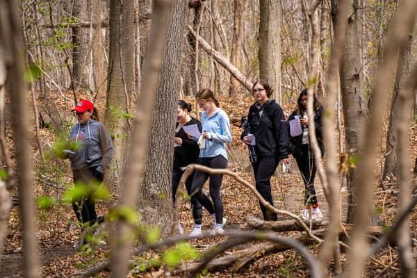 A group of five women walk through a sparse woodland forest in early spring, each holding papers, surrounded by bare trees and fallen branches.